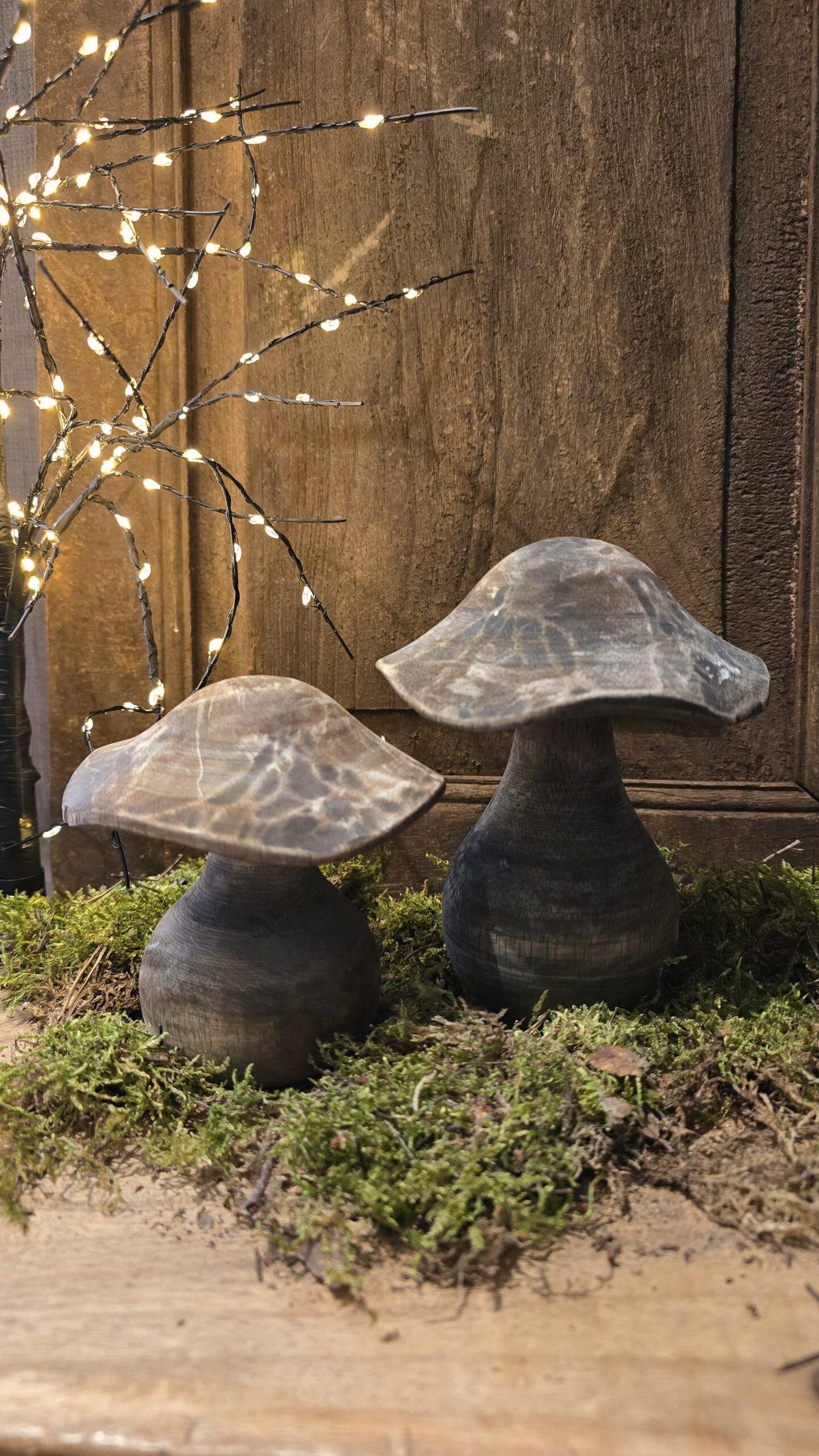 houten-paddenstoelen 1 Houten paddenstoelen - Afbeelding 1