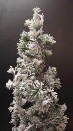 Kunst cederboom met winterse uitstraling in sobere stijl