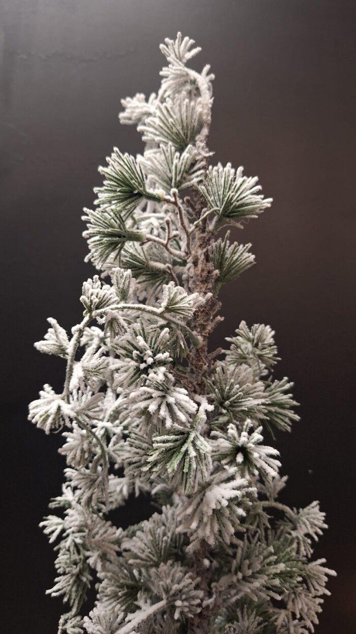 Kunst cederboom met winterse uitstraling in sobere stijl