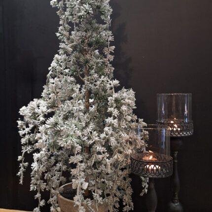 Kunst cederboom met winterse uitstraling in sobere stijl