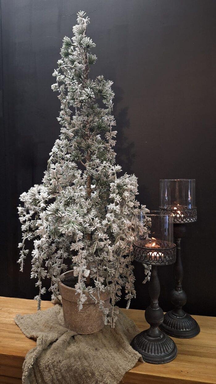 Kunst cederboom met winterse uitstraling in sobere stijl