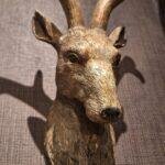 Stoere rendier buste als woondecoratie
