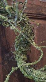 Mos tak groen - Afbeelding 4