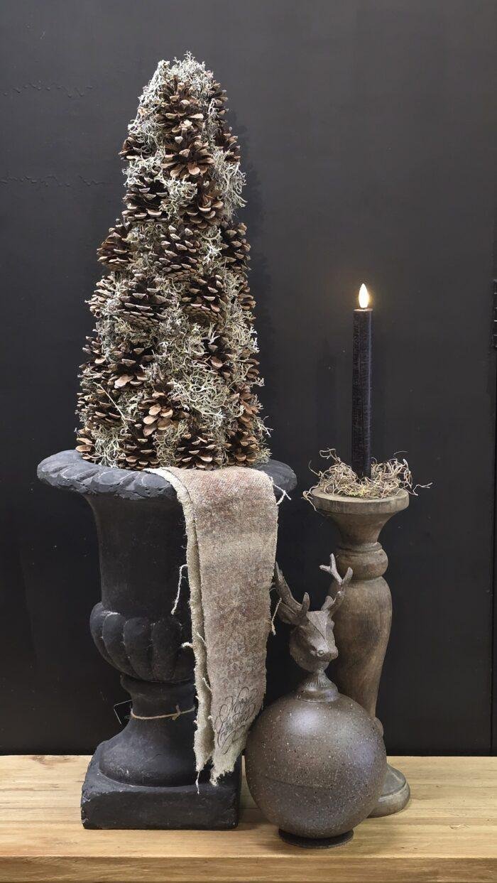 Dennenappelboom met mos - Afbeelding 1