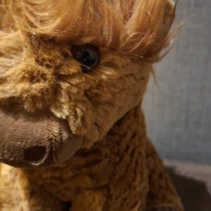 Knuffel Schotse Hooglander foto 2
