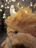 Knuffel Schotse Hooglander foto 3