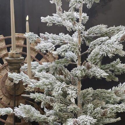 Kerstboom met sneeuw