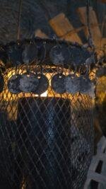 Metaal Serie – Old Grey - hangkandelaar - Afbeelding 3