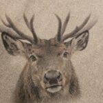 Shabby doek rendier vooraangezicht