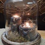 Glazen stolp op hout L