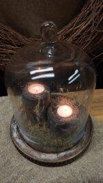 Glazen stolp op hout L - Afbeelding 3