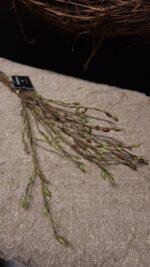 Bundel takjes - Afbeelding 5