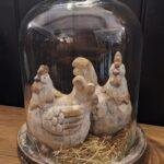 Glazen stolp op hout XL