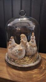 Glazen stolp op hout XL