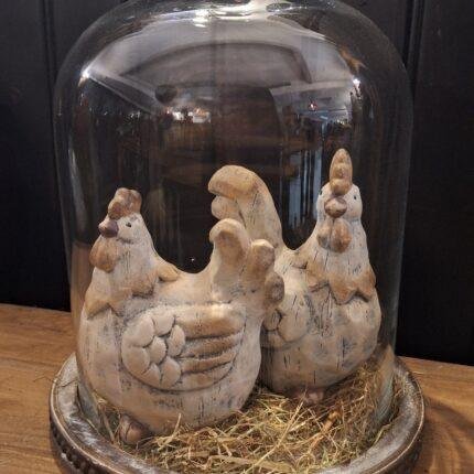 Glazen stolp op hout XL