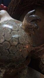 Haan XXL - Afbeelding 4