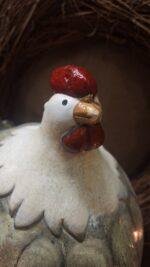 Kip XXL - Afbeelding 3