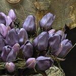 Enkele tulp donker paars 30cm