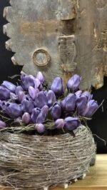 Enkele tulp donker paars 30cm - Afbeelding 3