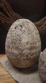 Stenen ei XL - Afbeelding 5
