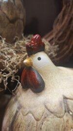 Haan XL - Afbeelding 3