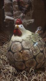 Haan M - Afbeelding 2