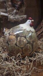 Kip M - Afbeelding 4