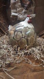 Kip M - Afbeelding 2