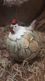 Haan S - Afbeelding 3