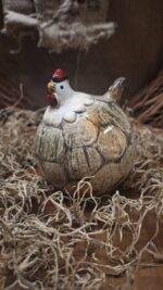 Haan S - Afbeelding 2