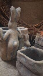 Pot met haas L - Afbeelding 3