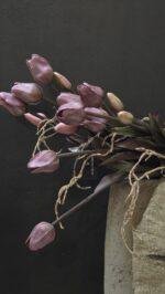 Enkele tulp donker paars donker blad