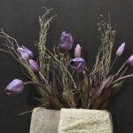 Enkele tulp purple donker blad
