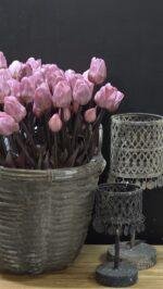 Enkele tulp donker roze donker blad - Afbeelding 2