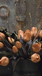 Enkele tulp roest 30cm - Afbeelding 2