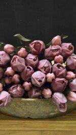 Enkele tulp donker paars donker blad