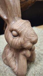 Konijn woody