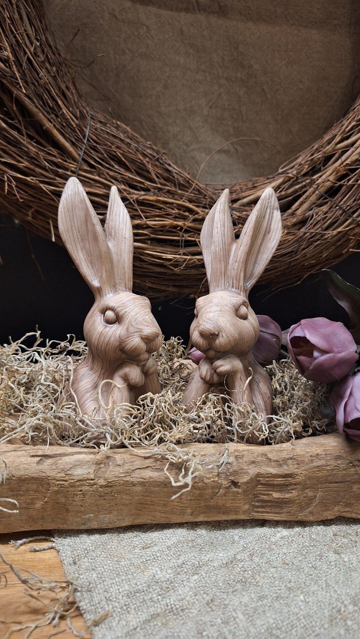 konijn-woody 1 Konijn woody - Afbeelding 1