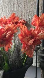 Steel en blad van kunsttulp met natuurlijke afwerking