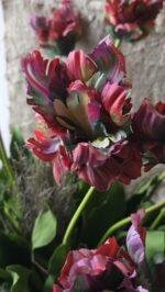 Detail van de bloemkop van de kunsttulp 73cm