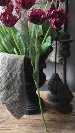 Steel en blad van kunsttulp met natuurlijke afwerking