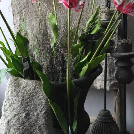 Kunsttulp van 73cm met realistische uitstraling