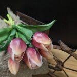 Enkele tulp 2 kleur 30cm