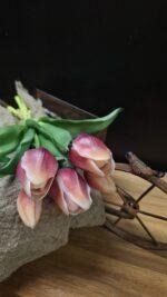 Enkele tulp 2 kleur 30cm