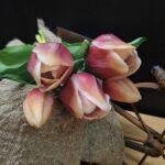 Enkele tulp 2 kleur 30cm