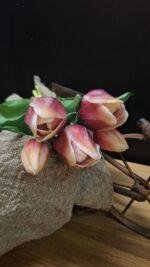 Enkele tulp 2 kleur 30cm - Afbeelding 3
