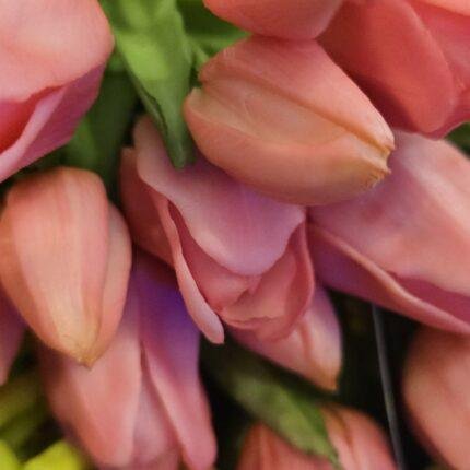 Tulpen bos roze