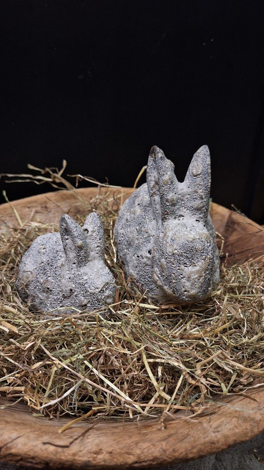 haas-10-5cm Haas 10.5cm - Afbeelding 1