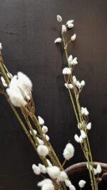 Kunst tak katjes - Afbeelding 2