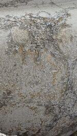 Schaal grijs robuust laag - Afbeelding 2